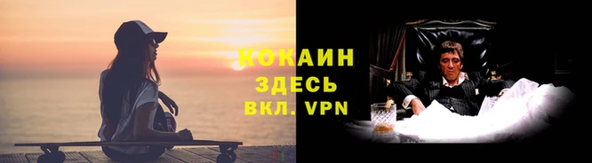 прущая мука Верея