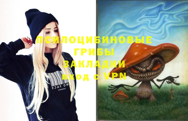 дмт Покровск