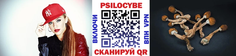Псилоцибиновые грибы GOLDEN TEACHER  Ковылкино 