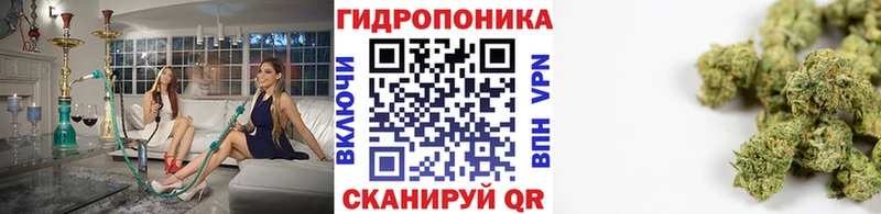 Бошки Шишки MAZAR Ковылкино